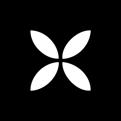 Icon 3